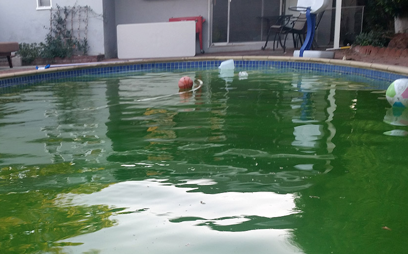 Green Pool Recovery